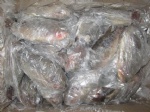 frozen tilapia whole round