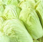 chinese cabbage