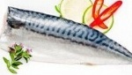 mackere fillet