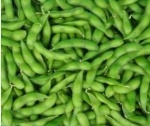 green soy bean